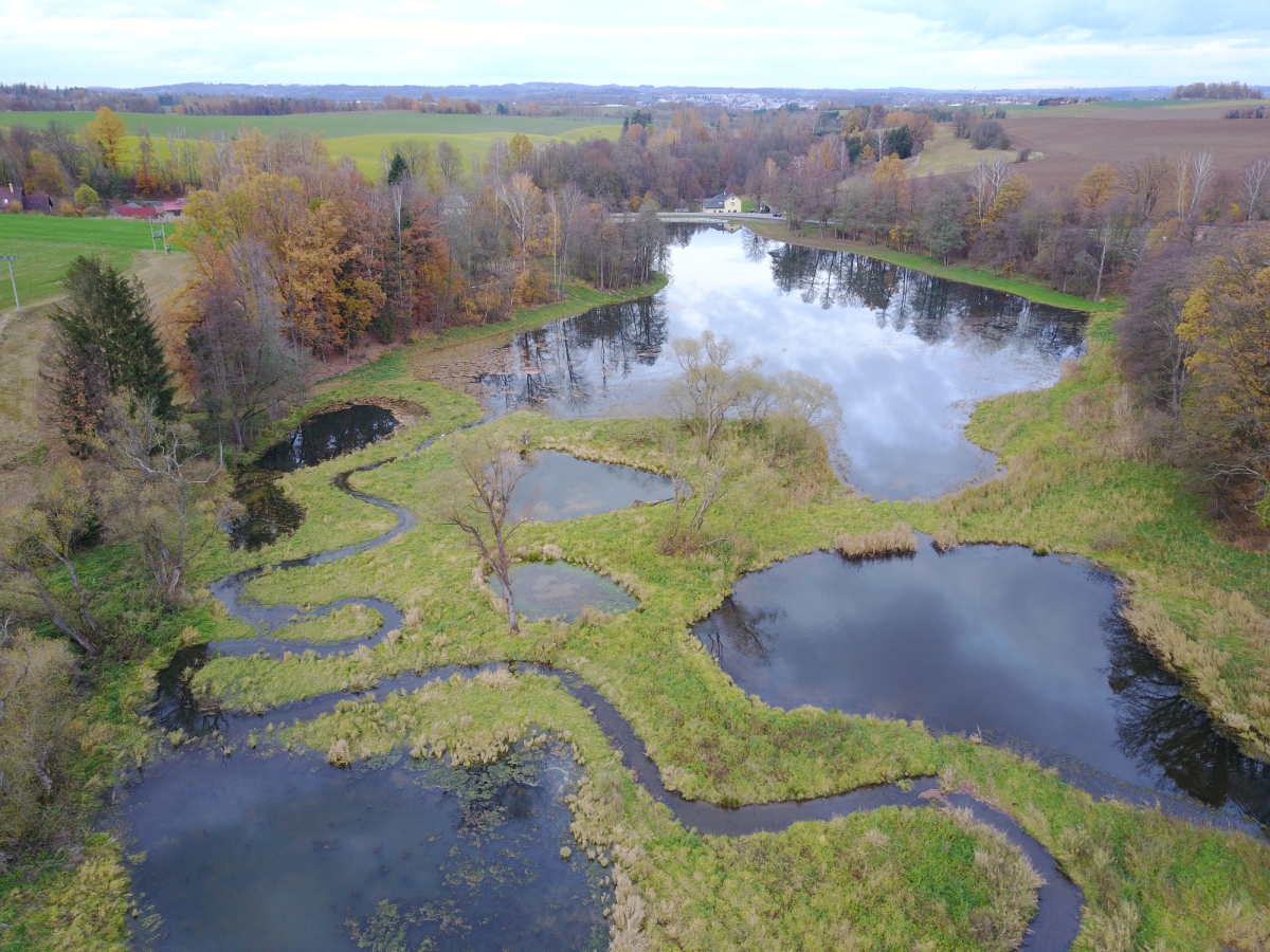 Revitalizace Petrkovského rybníka dokončena